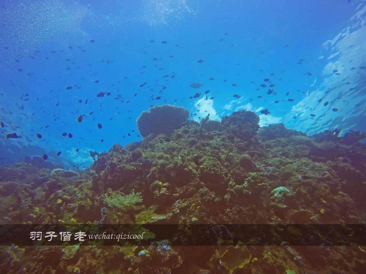 美娜多海岛一日游,印尼美娜多跟团游