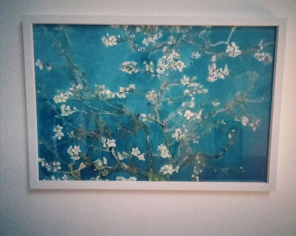 女大学生改造出租屋10平方,女大学生改造小屋