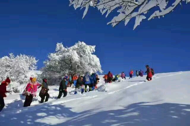 伊春的壮美之冬,伊春的风景区