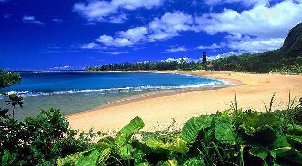 旅游不能错过的纪念品,不是什么东西都适合带回家