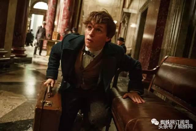 美国人为什么那么喜欢英国人,美国人为什么喜欢僵尸