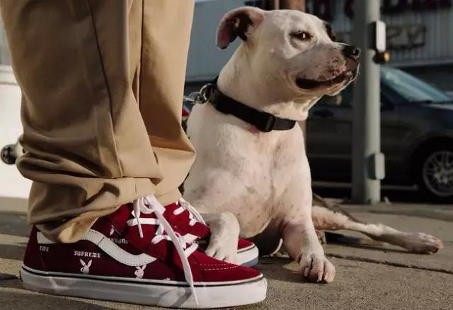 lvsupreme联名大全,lvxsupreme淘宝店