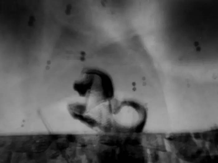 聂鲁达说，没有玩具我就没法活！那么，来看看大诗人怎么活的吧