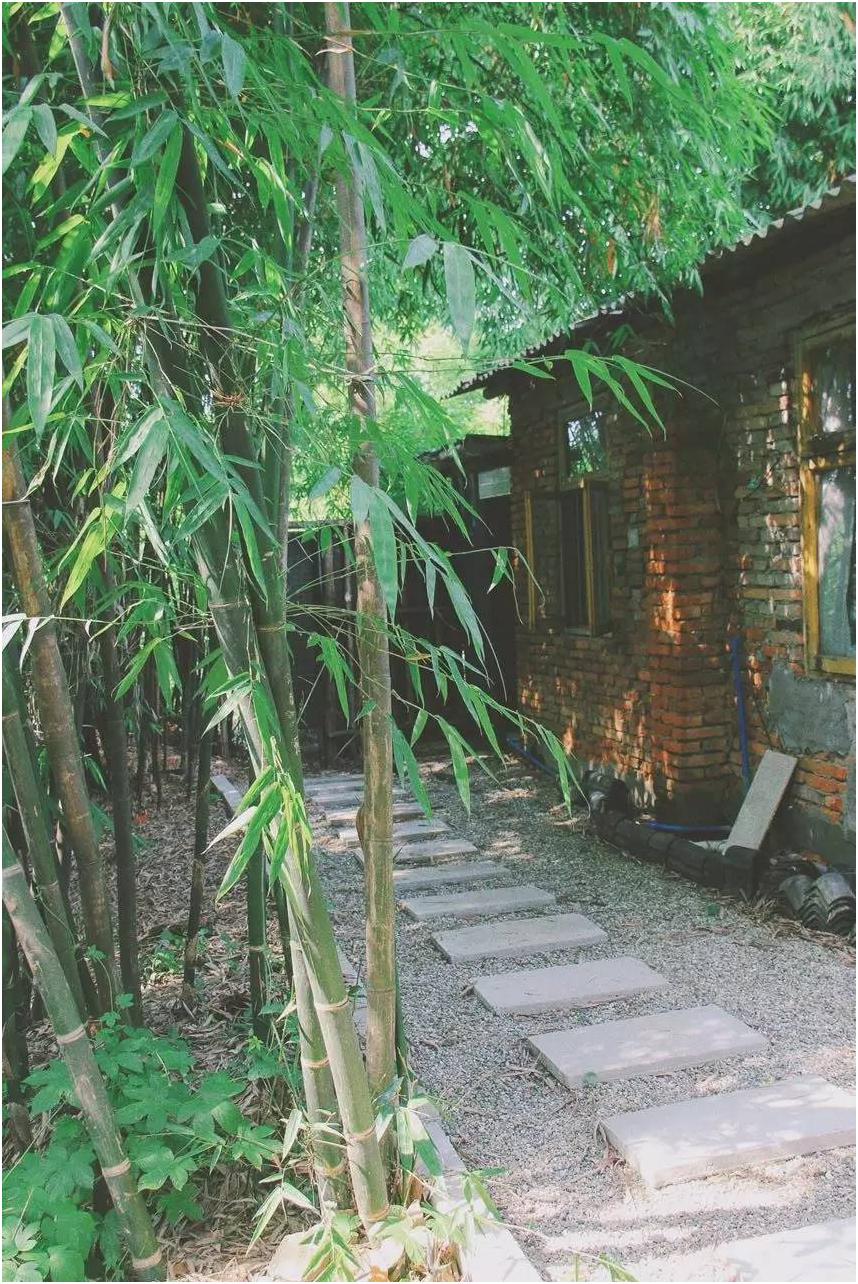 4个月9000元，三个90后把城里的破败院落，徒手改造成家理想的模样