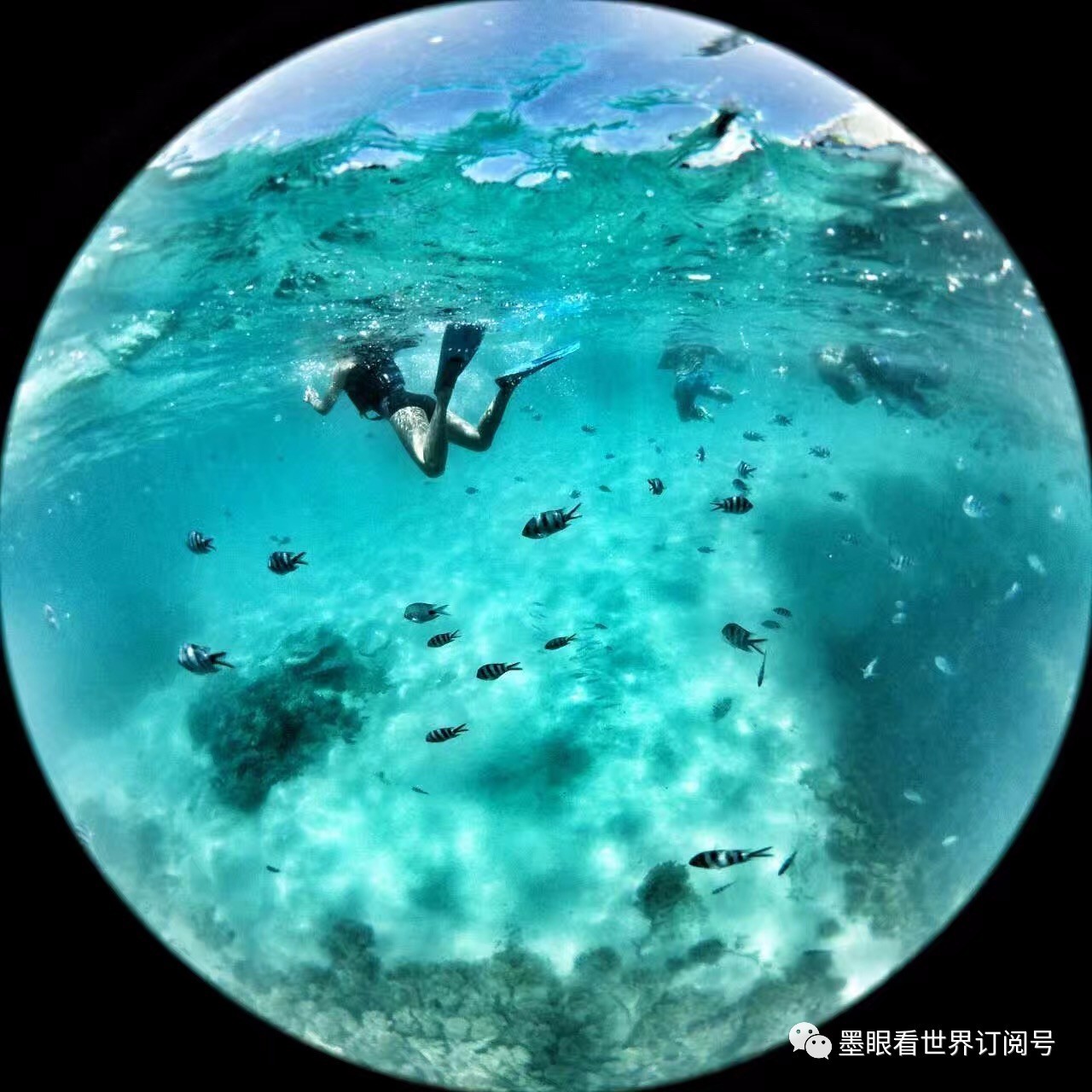 毛里求斯幸福的天堂完整版,天堂的故乡毛里求斯