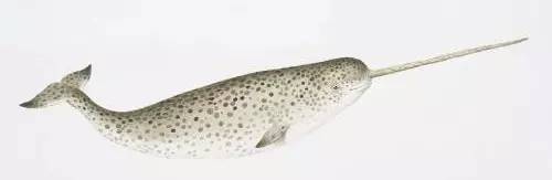 聂鲁达说,没有玩具我就没法活!那么,来看看大诗人怎么活的吧