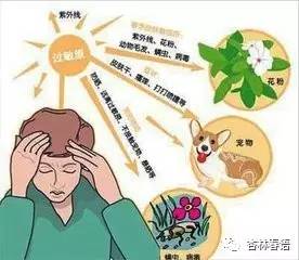 过敏体质的认识,拥有过敏体质的人多吗