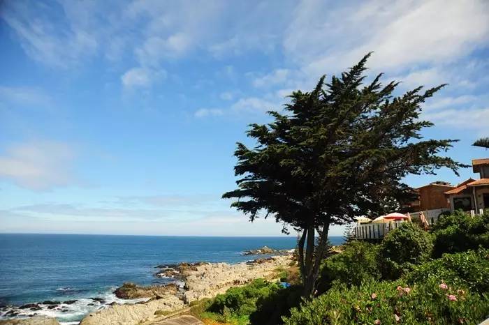 聂鲁达说,没有玩具我就没法活!那么,来看看大诗人怎么活的吧