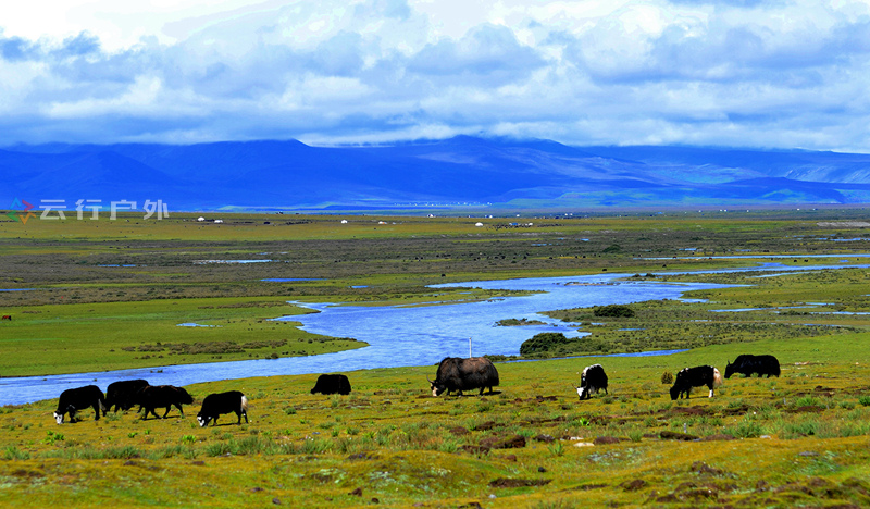 2019年成都自驾林芝看桃花,金川梨花赏花路线
