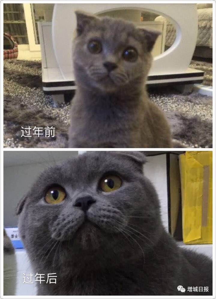 广州增城春节放假最新通知,增城春节放假