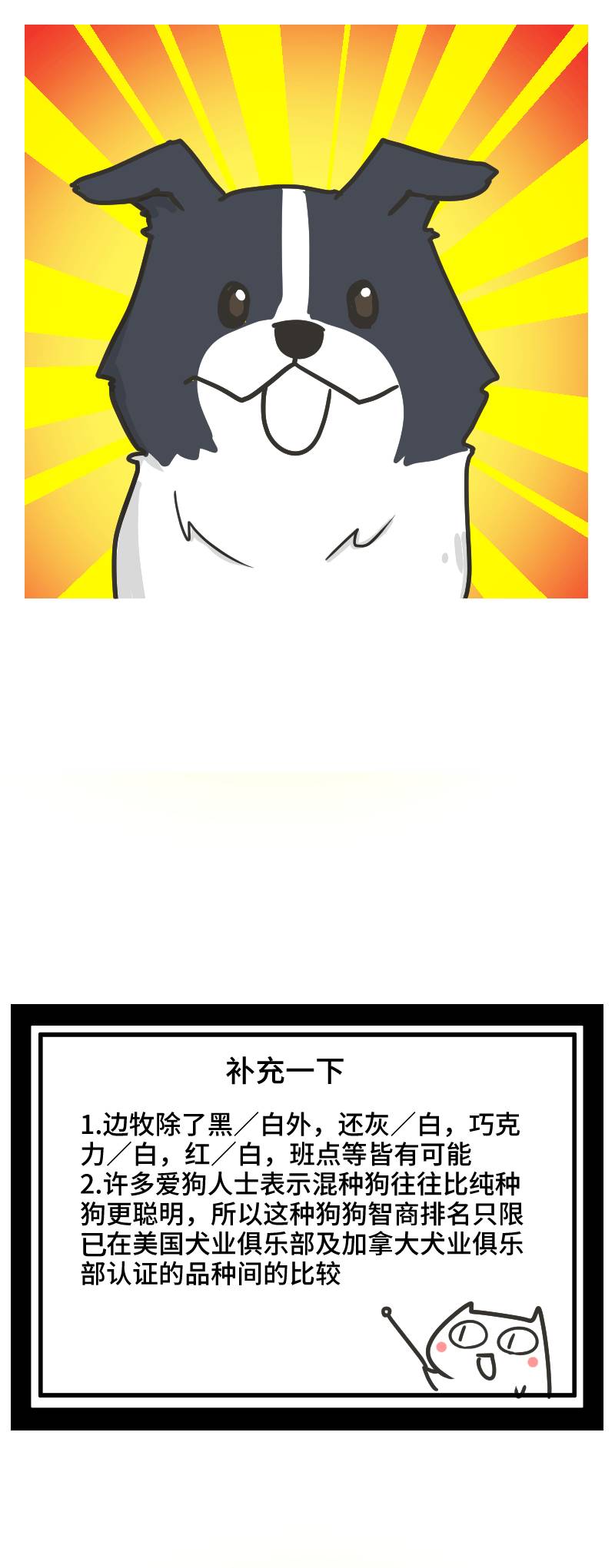 边牧的智商真的有6-8岁那么高吗,边牧和巴拉布拉多他俩谁的智商高