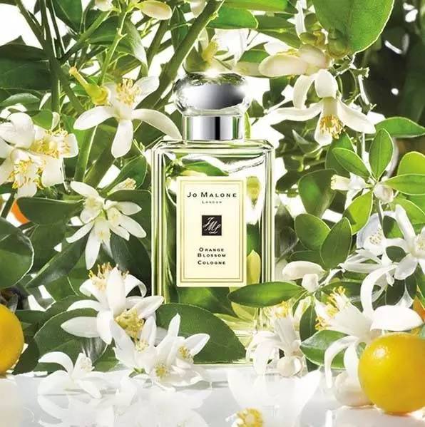 新千岁机场必买伴手礼,上海浦东机场必买伴手礼