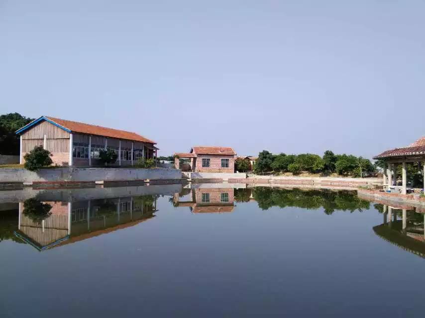 南宁附近农家乐排行榜,南宁十全十美农家乐