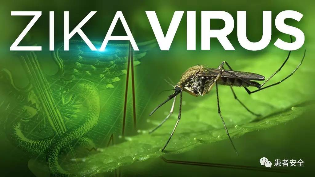 美国最严重的安全事故,美国十大安全事故