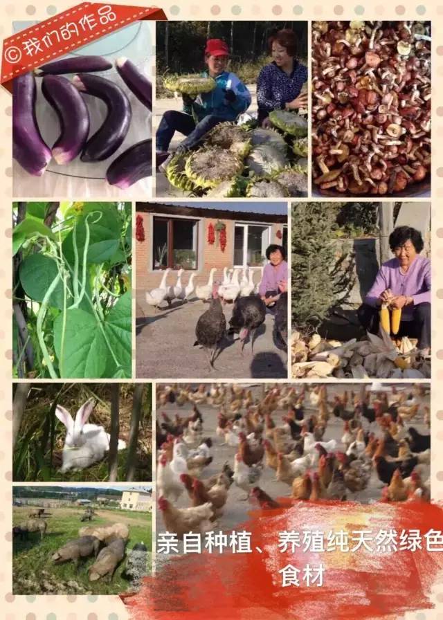 哈尔滨冬天免费玩雪的地方,哈尔滨冰雪旅游春节