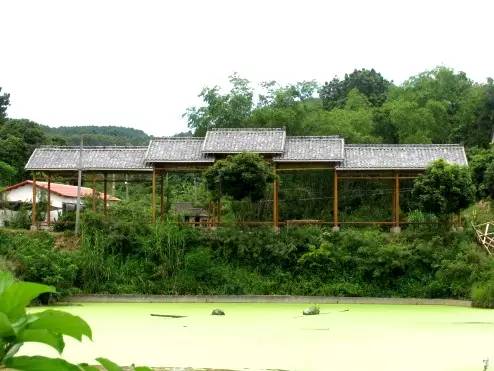 这是一条拯救南宁人春节聚会的微信