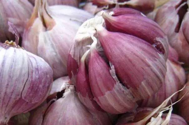 所有天津人!介点儿“小病”可不简单!(内含哏儿都人养生攻略)