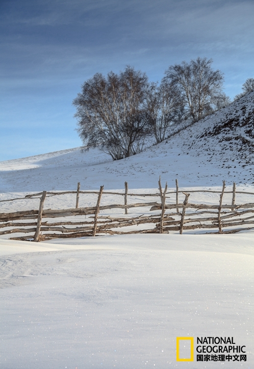 趁冬天还没有来临之前去一趟,一起到坝上去看雪
