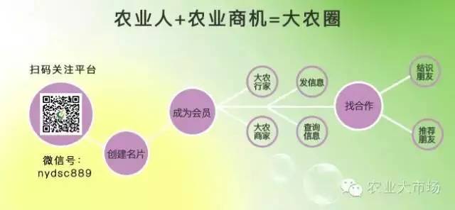 致富新项目零元投资,致富新项目手工活商机