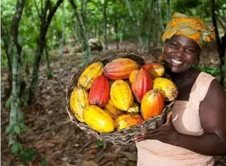 「国际」嘉吉：农业变革中的巨头智慧