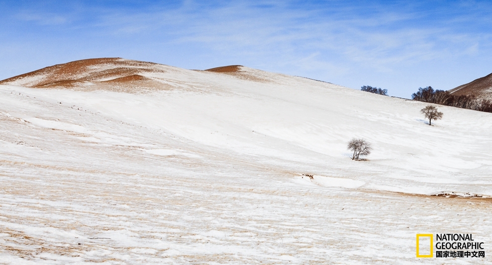 趁冬天还没有来临之前去一趟,一起到坝上去看雪