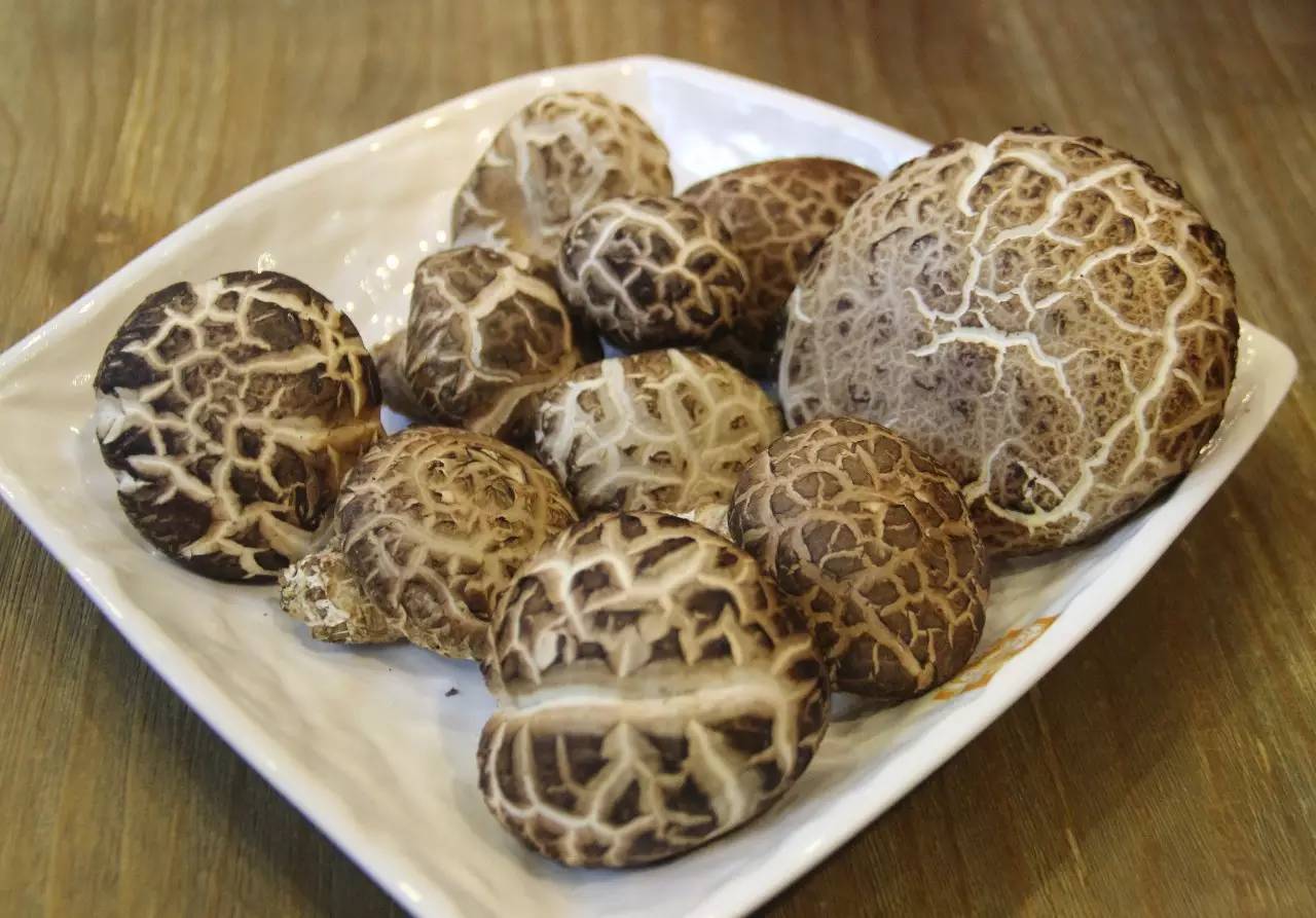 海参鲍鱼花菇鱿鱼佛跳墙,佛跳墙香菇鸡汤鲍鱼