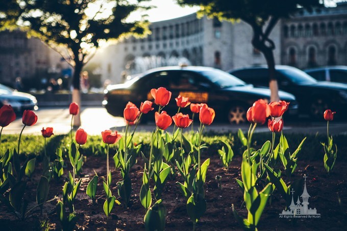 神话国度的守望（带上娃娃穿行欧亚之亚美尼亚）