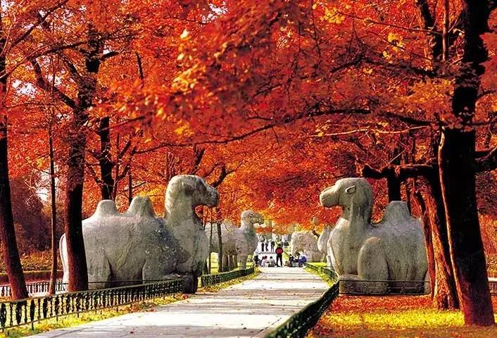 南京骑车一日游玩攻略,南京纯玩一天游攻略