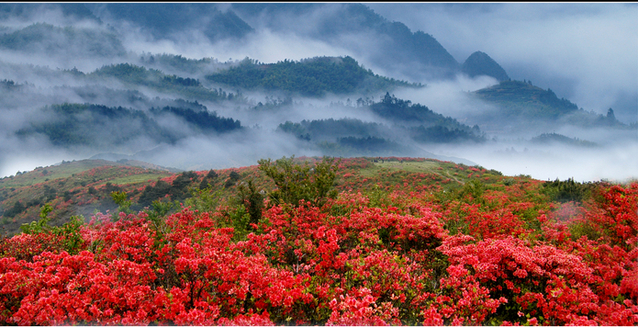 浙江小众乡村景点,江浙沪风景好的山野居住地