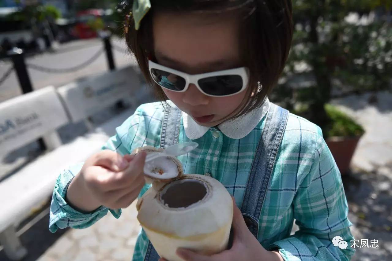 我的越南之旅旅行日记,旅行日记越南