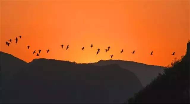 普者黑三生三世十里桃花风景,丘北普者黑十里桃花