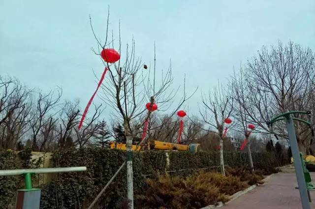 廊坊片区征迁安置补偿方案,廊坊大马坊村拆迁补偿