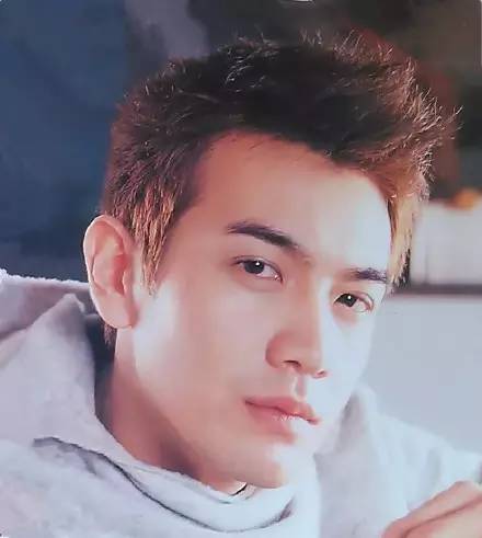 他是古装男神，有李连杰的功夫、梁朝伟的演技，精通5国语言6门武术，为什么没有大红？