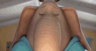 动物好声音所有歌曲,动物好声音