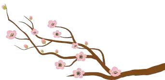 波伏娃一生获得的荣誉,波伏娃作品集