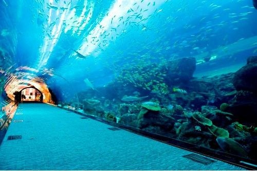 迪拜旅游必去十大景点介绍图文,迪拜旅游必去十大景点介绍