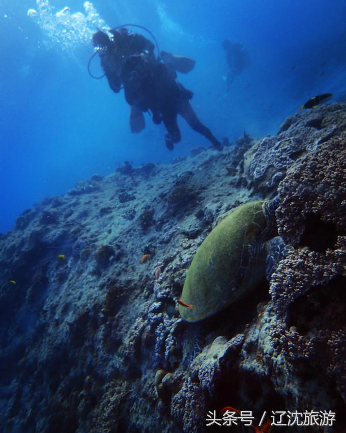 去台湾看自然风景,台湾小众景点