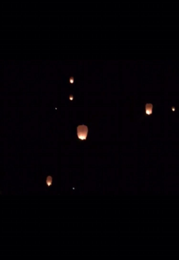 我爱远方风景,我爱远方和自由