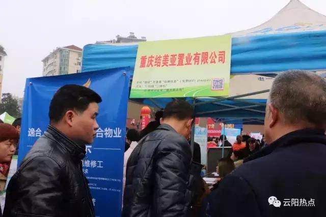 云阳公益性岗位招聘,云阳县2024年人才引进