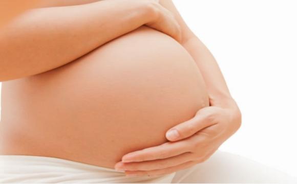 怀孕40周全程陪伴,40周怀孕全程指导电子书