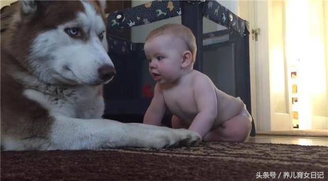 宝宝性格内向怕被欺负怎么办,孩子胆小被欺负怎么引导