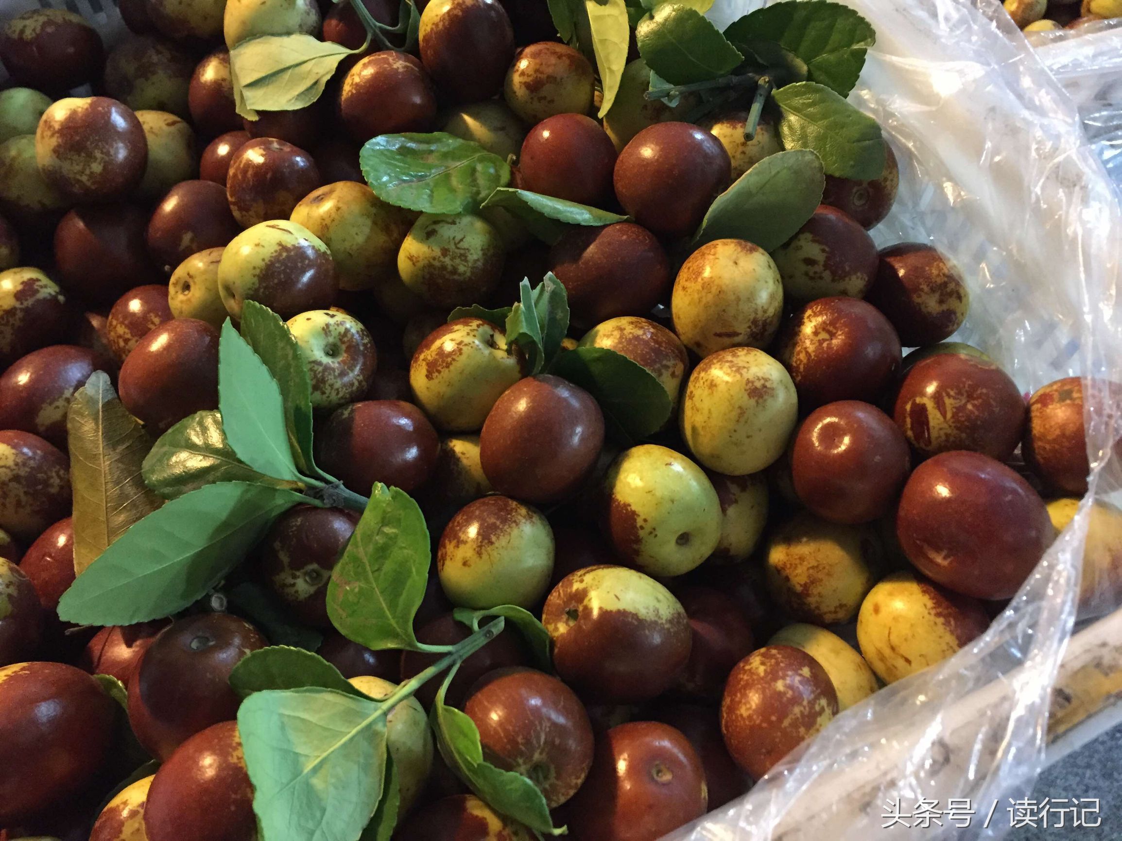 90后年轻夫妻过年不回家，摆摊卖水果日入五千元