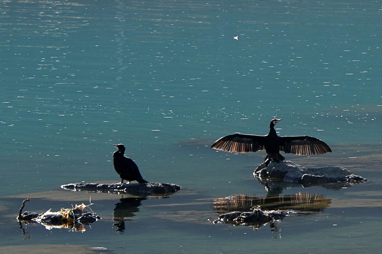 河道被挖开,被挖出来的河