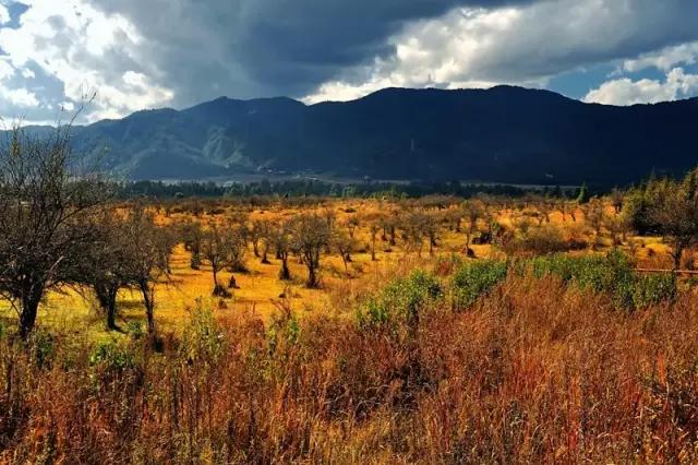 2019春运高铁云南,春节云南自驾5天最佳路线