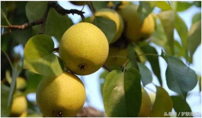 孕妇福利待遇,孕妇为什么皮肤会干燥