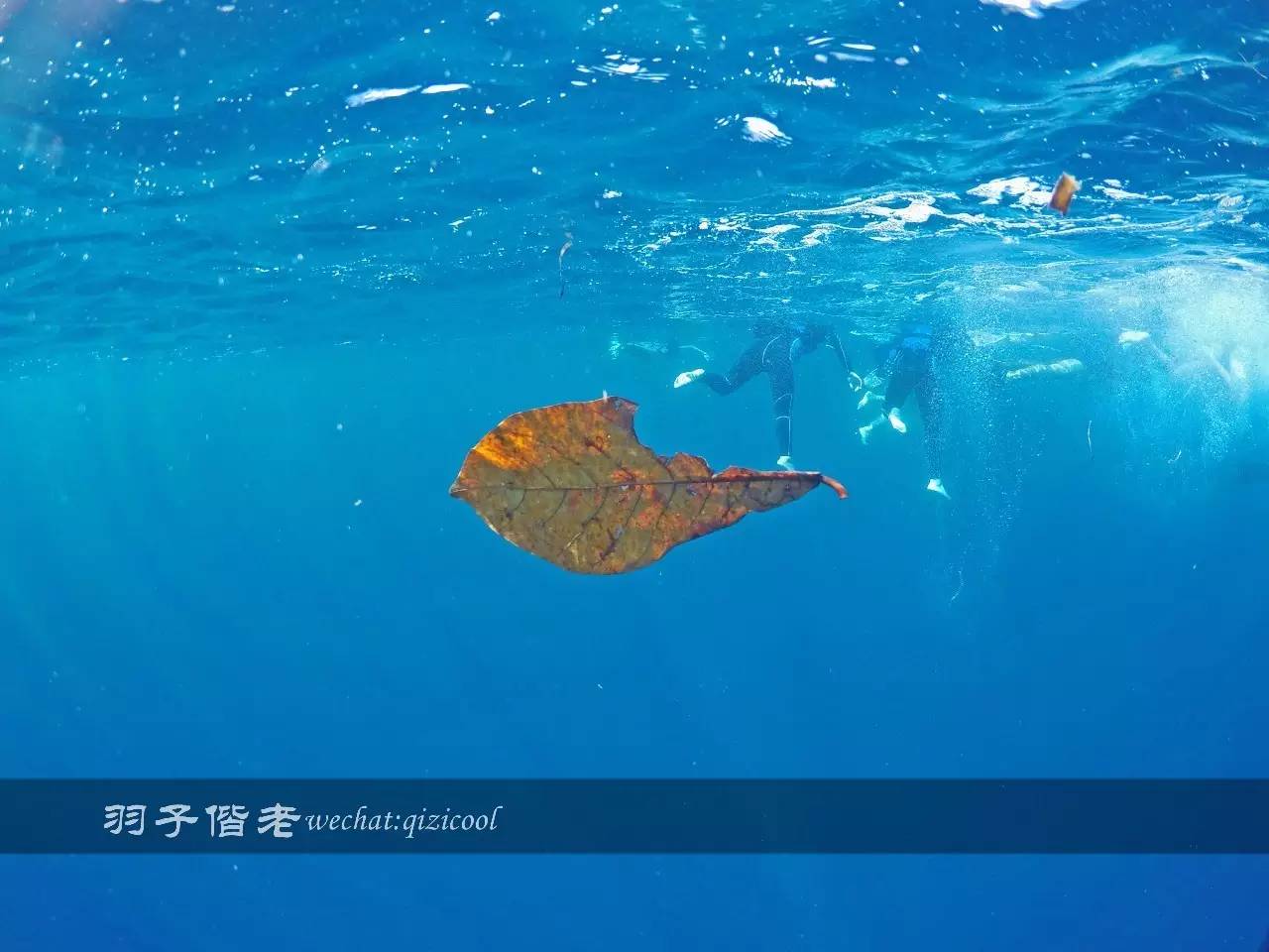 美娜多海岛一日游,印尼美娜多跟团游