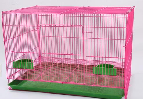 新手养兔子视频教程全集,新手养宠物兔子视频