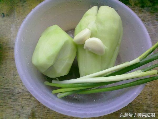 种植佛手瓜五大要点需注意,像手指似的佛手瓜怎么种植