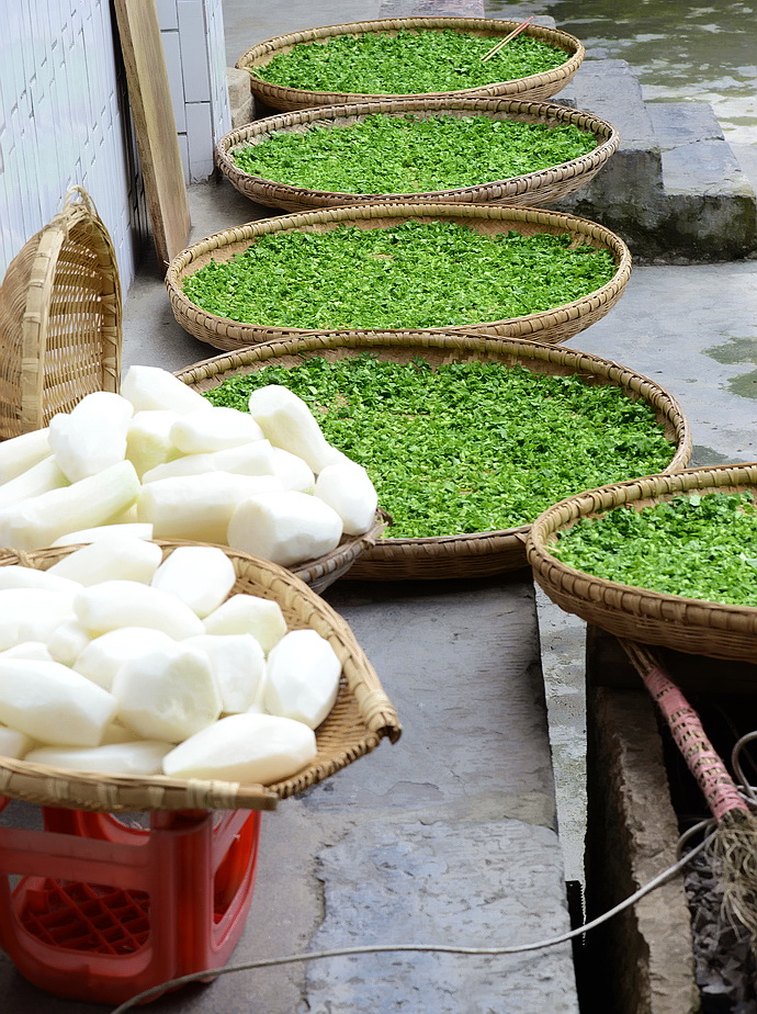贵州原始古寨景点,贵州清静的古寨
