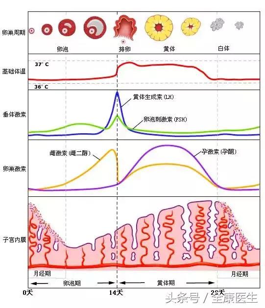 情人节就要到了，比没准备礼物更惨的是什么呢？